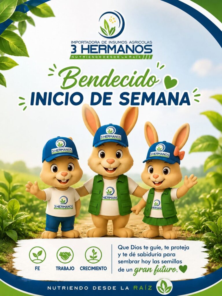 3 hermanos